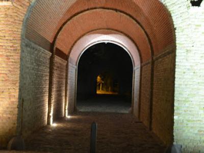 BL2_8163