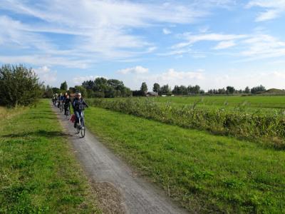 DSC03495