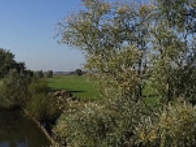 DSC03538