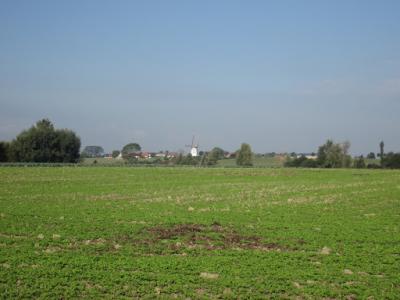 IMG_5661